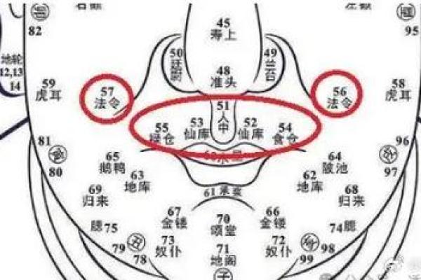麻衣神相痣相独步江湖，一痣成神