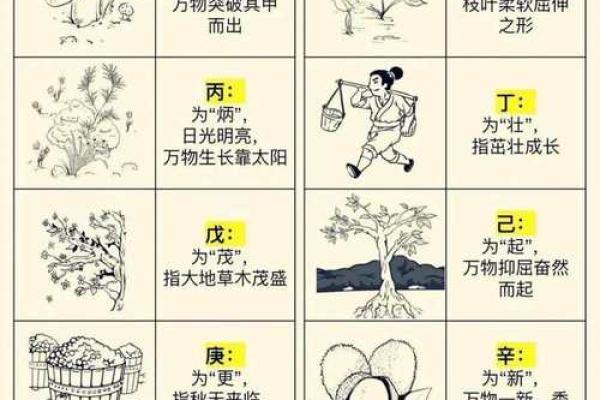 天干纪年图背后的深厚文化底蕴