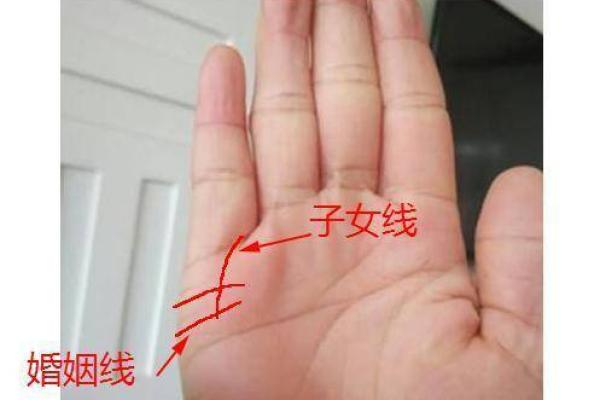 揭秘：手相子女线藏宝图，教你快速找到关键点