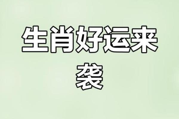 西南风起，生肖运势大揭秘