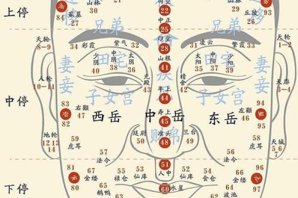 面相灾厄宫揭秘：破解命运之谜，告别霉运