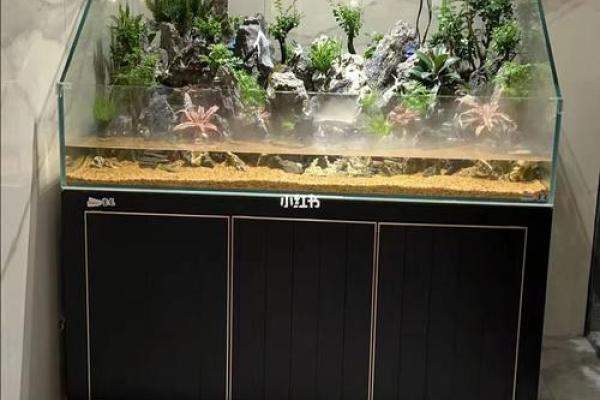 揭秘鱼缸高度风水奥秘，打造家居风水旺运利器