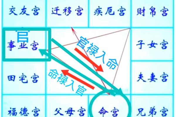 紫微斗数排盘港版解析：揭开命运之谜，精准预测人生走向
