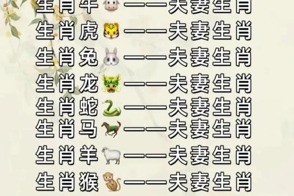 狗牛相配？揭秘生肖配对之谜