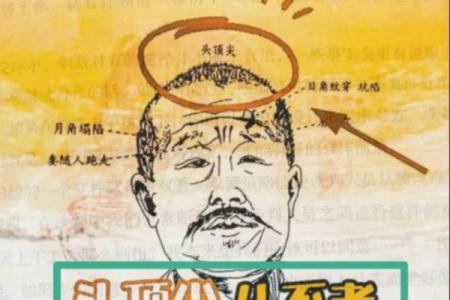 识人于微：揭秘面相中的命运密码