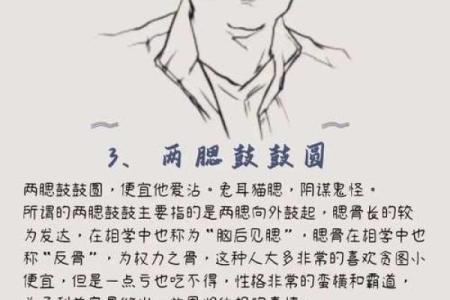 慈安面相解析：揭秘富贵吉祥的秘密面相特征