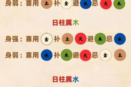 乙未八字命盘：如何通过五行调整提升运势