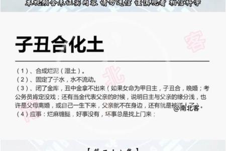 盲派命理揭秘：如何用连体命盘预测未来？