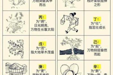 天干纪年图背后的深厚文化底蕴