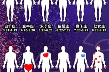星座配对大揭秘：你的命中注定是谁？