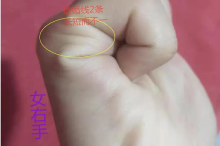 揭秘：手相子女线藏宝图，教你快速找到关键点