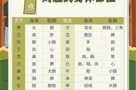 探索天干十二支的深刻含义与应用