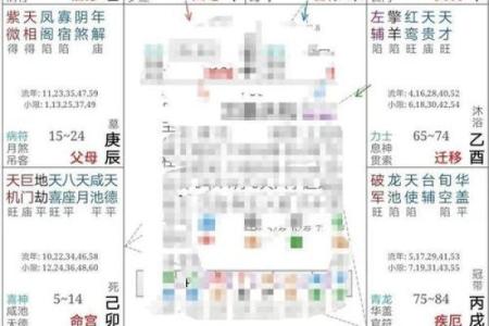 紫微斗数排盘港版解析：揭开命运之谜，精准预测人生走向
