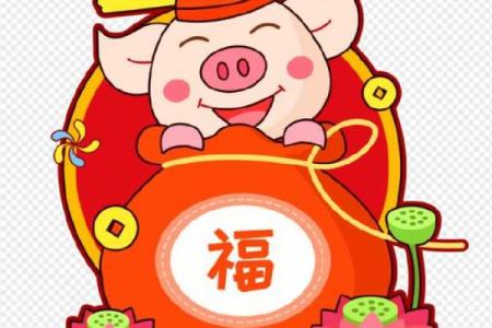 已亥年属猪人的运势揭秘：财运亨通，福寿双全