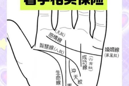 揭秘：手相男左女右的神秘奥秘，测出你的运势与性格