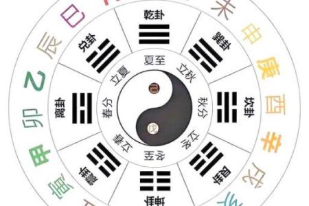 天干类像中的腮，揭示面相背后的深层秘密
