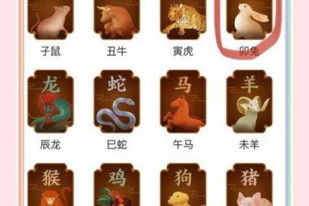 2024兔年每月运势大揭秘：财运亨通，事业飞跃