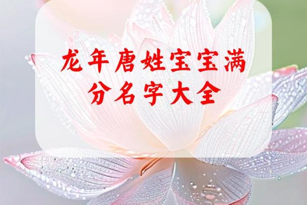 唐氏起名大全：打造独特又有寓意的名字