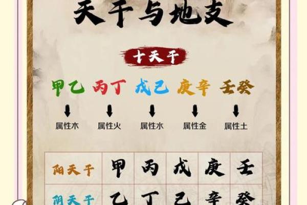 生肖晨曦：揭秘十二生肖的早晚奥秘