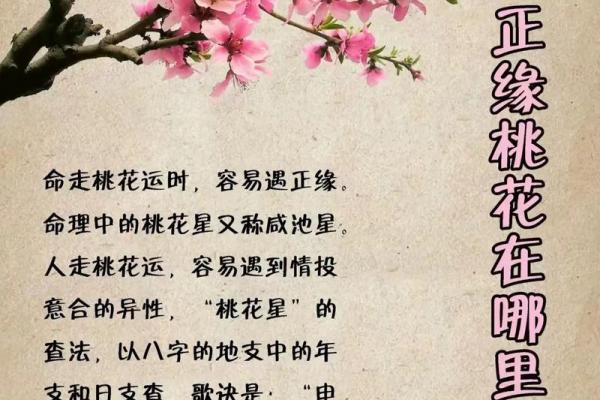 探索四柱命理下载：助你解读八字命运的关键工具