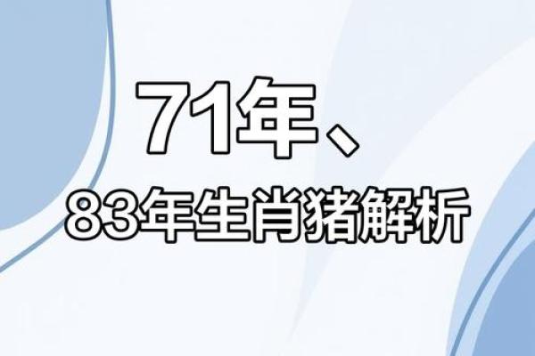 属猪的人五行解析，如何与命运和谐相处