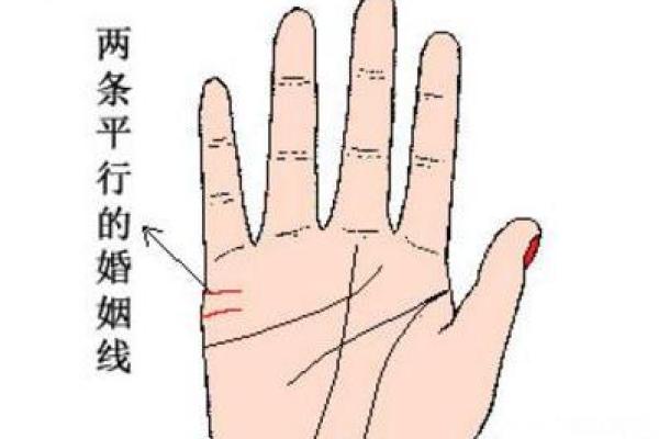 手相揭秘：揭秘你的婚姻运势，一看便知幸福美满