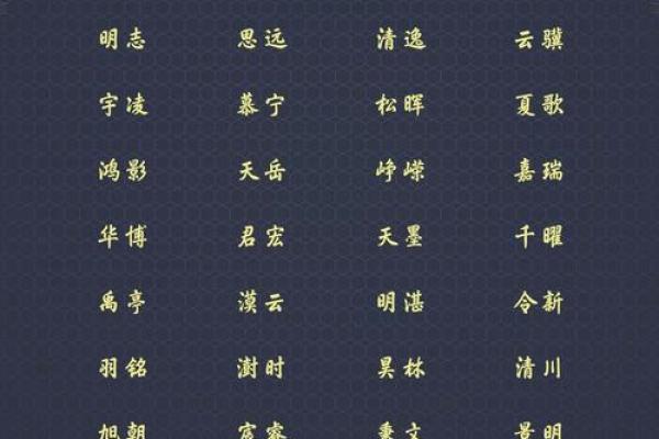 陆字起名技巧：选对字让名字更有韵味