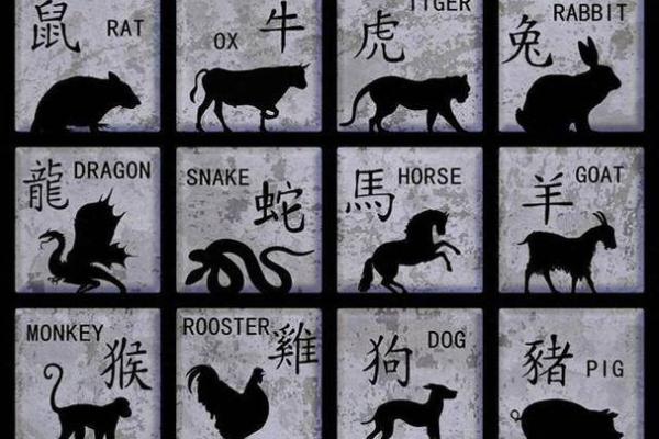 生肖大师带你轻松打遍十二生肖