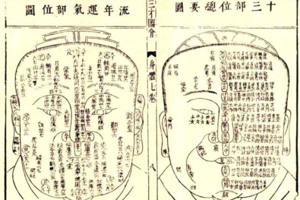 父亲面相揭秘：运势与性格的密码解析