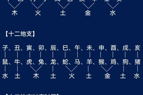 探索地支天干在命理学中的深层含义