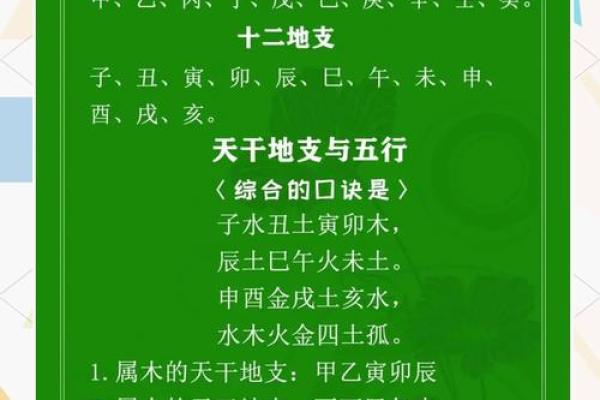 探索地支天干在命理学中的深层含义