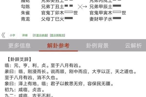 探究六爻天干在卦象分析中的关键作用