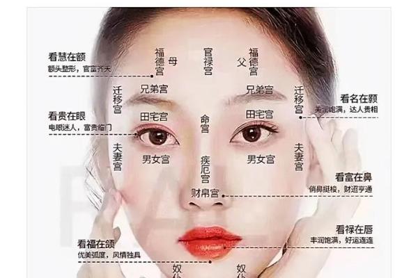 识人于面：面相揭秘，教你一眼看穿人心