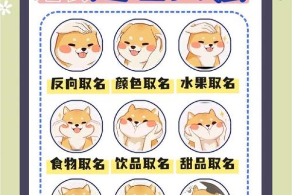 精选母狗起名大全，打造专属宠物身份
