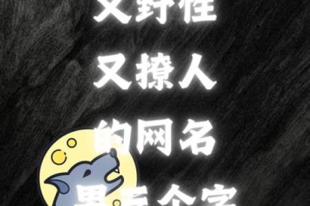 如何在剑三中取个既酷又独特的名字