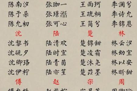 姓管宝宝名字推荐：寓意与音韵的完美结合