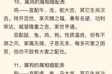 属猪的人五行解析，如何与命运和谐相处