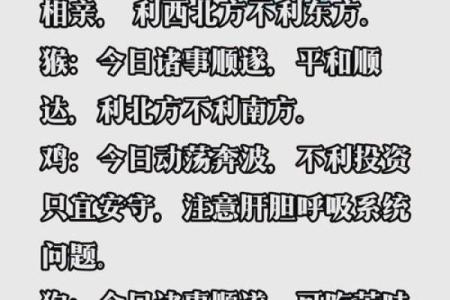 23岁属鼠：揭秘你的五行命理秘密