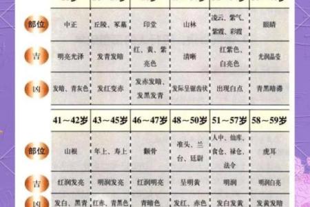 识人于面：揭秘面相入门必知秘诀