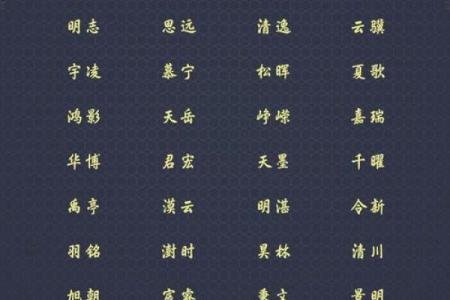 陆字起名技巧：选对字让名字更有韵味