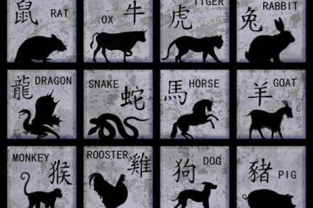 生肖大师带你轻松打遍十二生肖