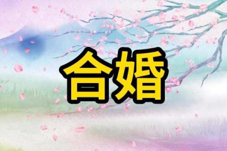 为什么越来越多人选择八字合婚？专家解析