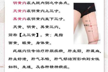 解析董字五行的秘密
