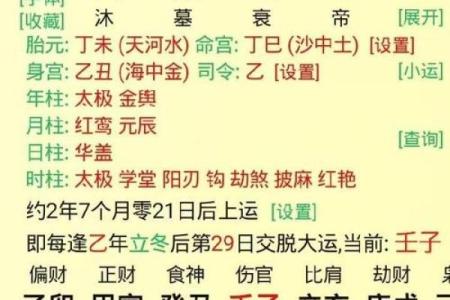 乙巳乙酉时命理如何影响你的人生轨迹？