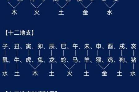 探索地支天干在命理学中的深层含义