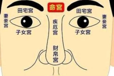 面相秘籍，一眼识病，爆款歌诀，揭秘健康之谜
