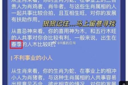 用命理测箅法解答你的命运困惑，走上人生巅峰！