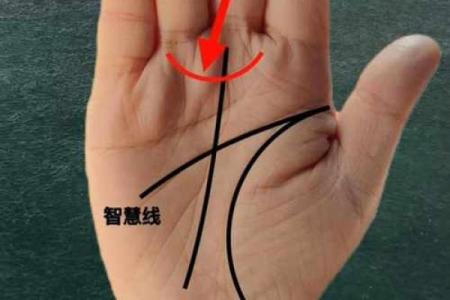 手相揭秘：金星带女人运势大揭秘