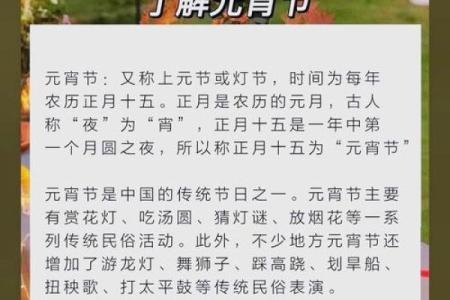 揭秘2月15日传统节日习俗，带你穿越千年文化之旅
