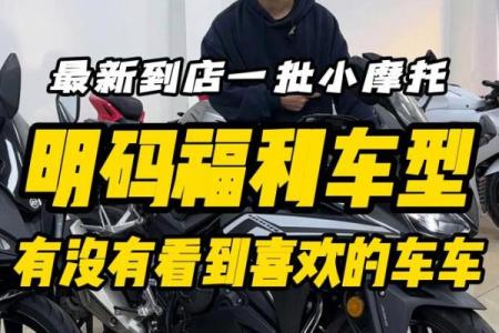 摩托车起名指南，让你的车成为街头焦点